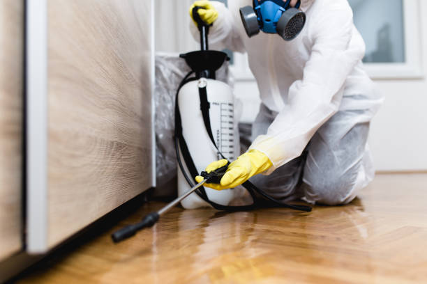Best Flea Control Services  in Stockton, CA