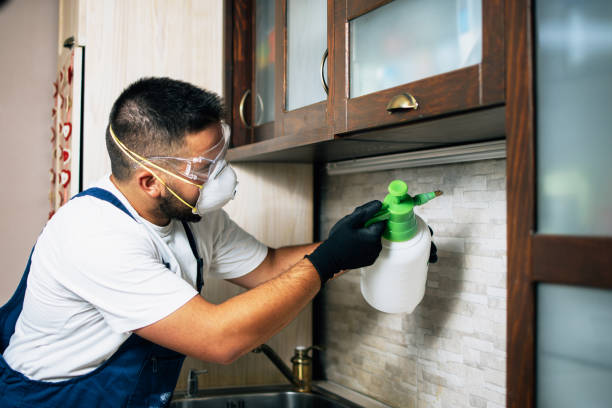 Best Pest Control Near Me  in Stockton, CA