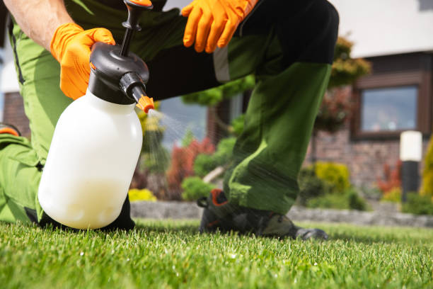 Best Best Pest Control Companies  in Stockton, CA