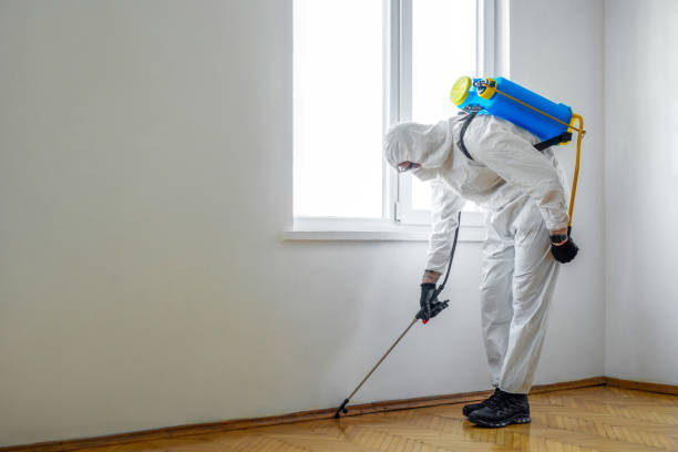Best Affordable Pest Control Services  in Stockton, CA