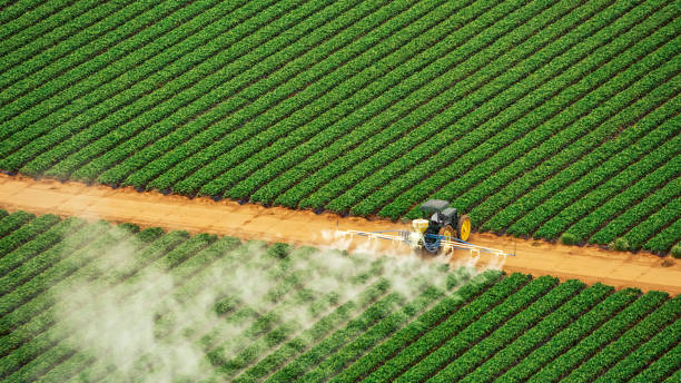 Best Commercial Pest Control Services  in Stockton, CA