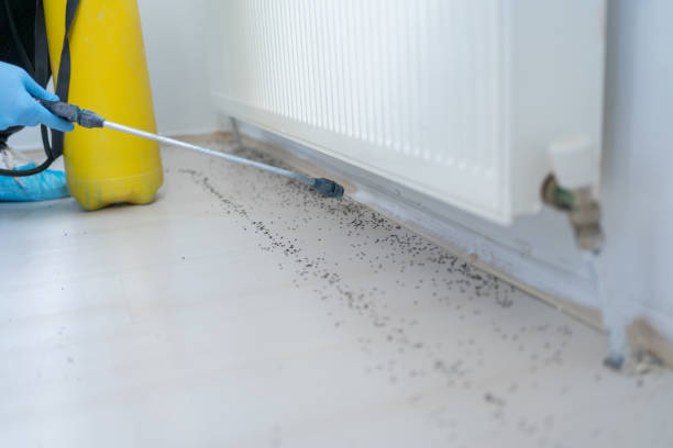 Pest Control for Restaurants in Stockton, CA